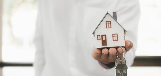 domy na sprzedaż wilanów